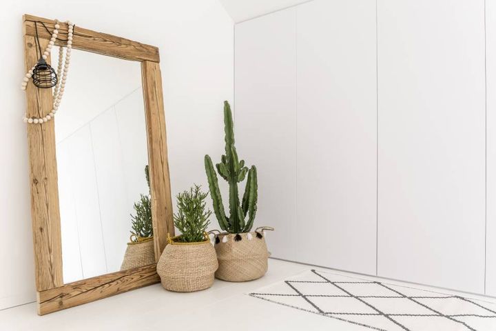 Cornice e piante