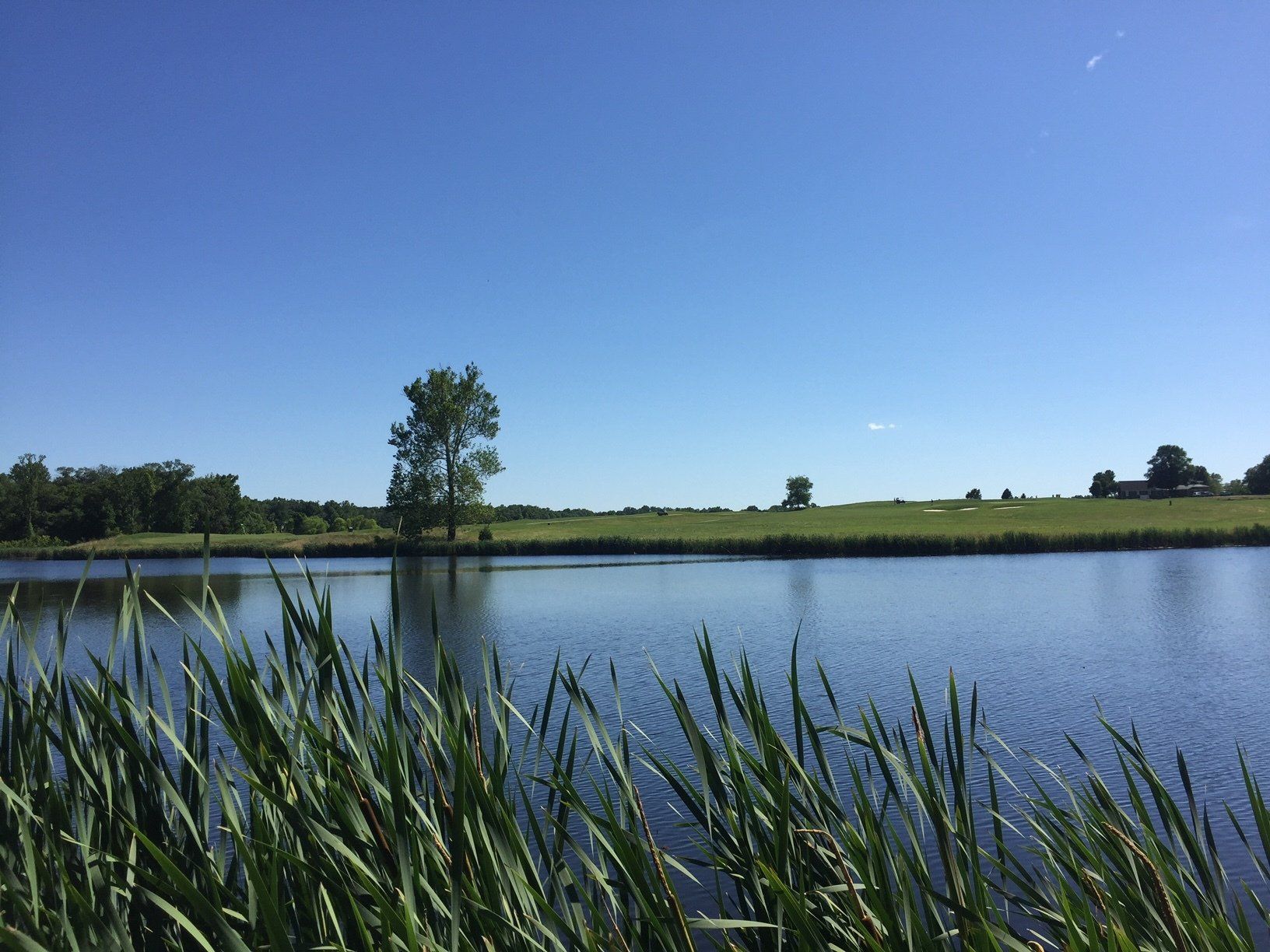Beautiful Scenery — Glen Allen, VA — Le Gault Homes