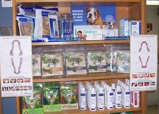 Animal Clinic — Dental Special in Bellevile, IL Animal Clinic — Dental Special in Bellevile, IL