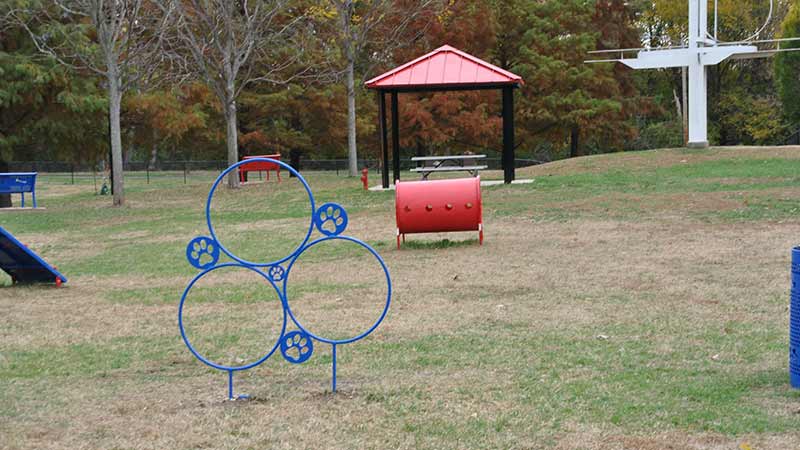Animal Clinic — Dog Park Hoops in Belleville,IL