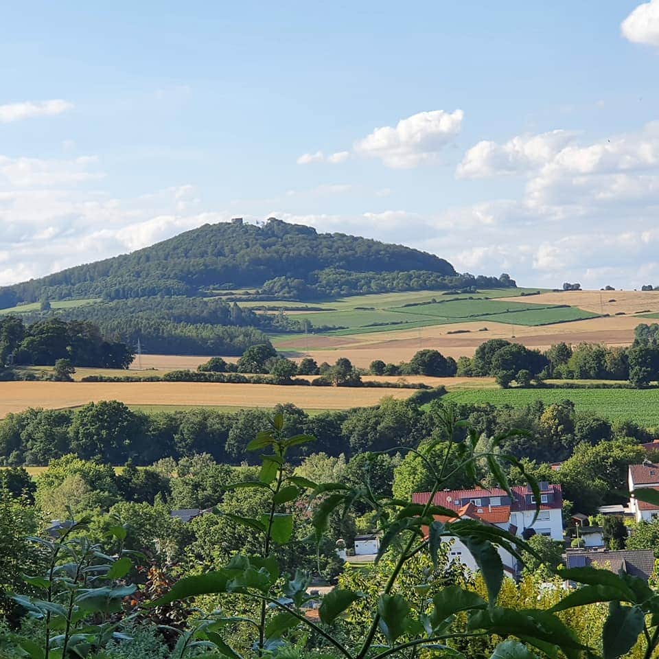 Glooiende groene heuvels, velden en een beboste berg onder een blauwe hemel, met enkele huizen op de voorgrond.