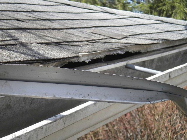 Roof — Animal Control in Uniontown, PA