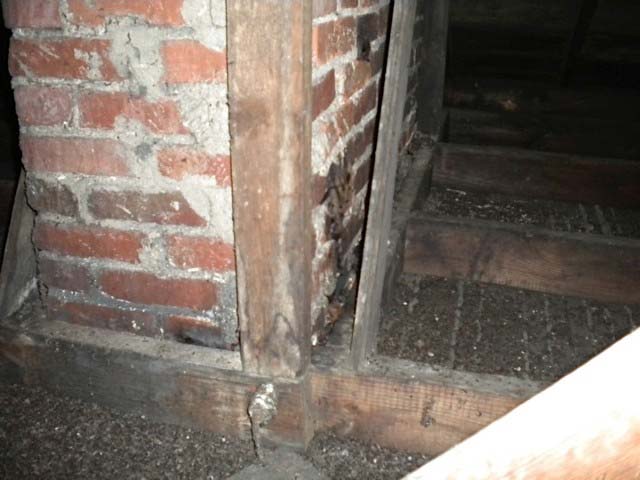 Pest Removal — Animal Control in Uniontown, PA