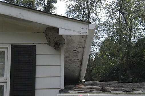 Wasp Nest — Insects Control in Uniontown, PA Wasp Nest — Insects Control in Uniontown, PA