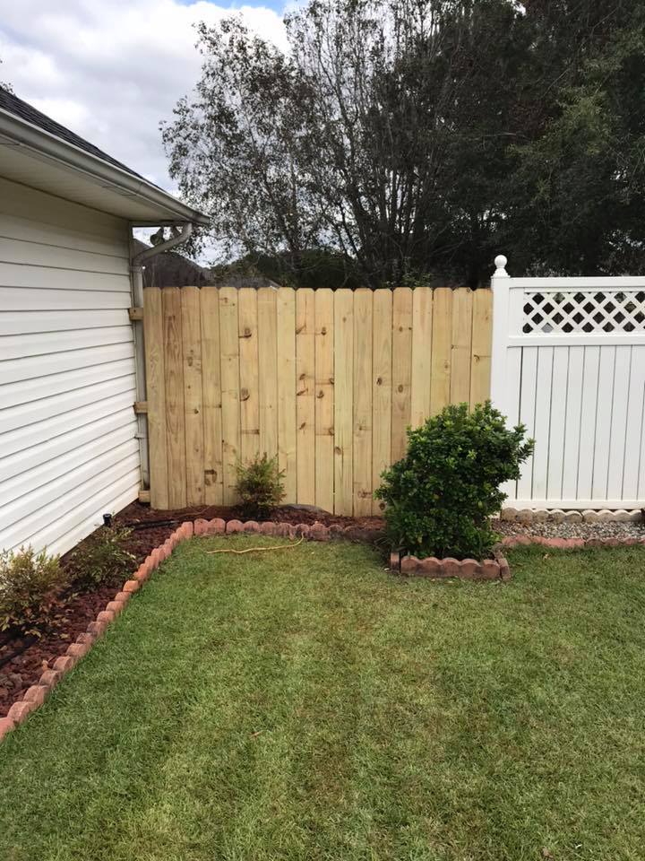 Backyard with a wooden fence, green grass, and small bushes.