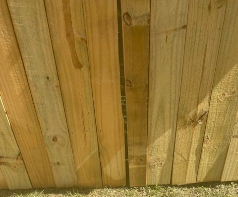 Wooden fence panels, natural wood color, close-up view, grass at the bottom.