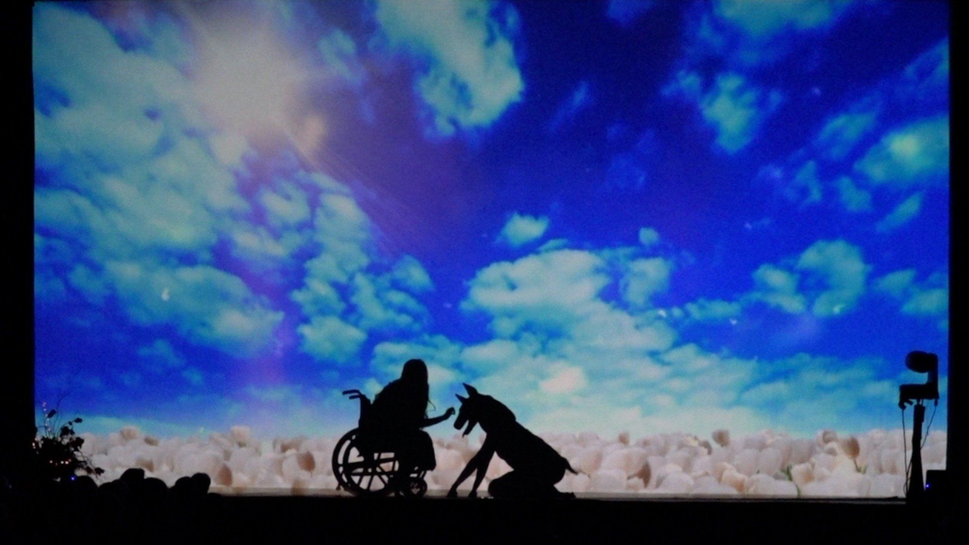 Silhouetted person pushing a wheelchair against a bright blue sky with clouds and mountains.