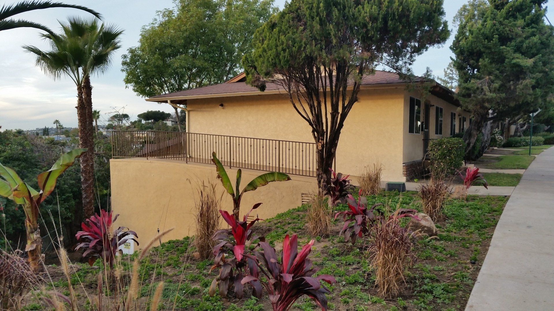 Lemon Normal Gardens Apt