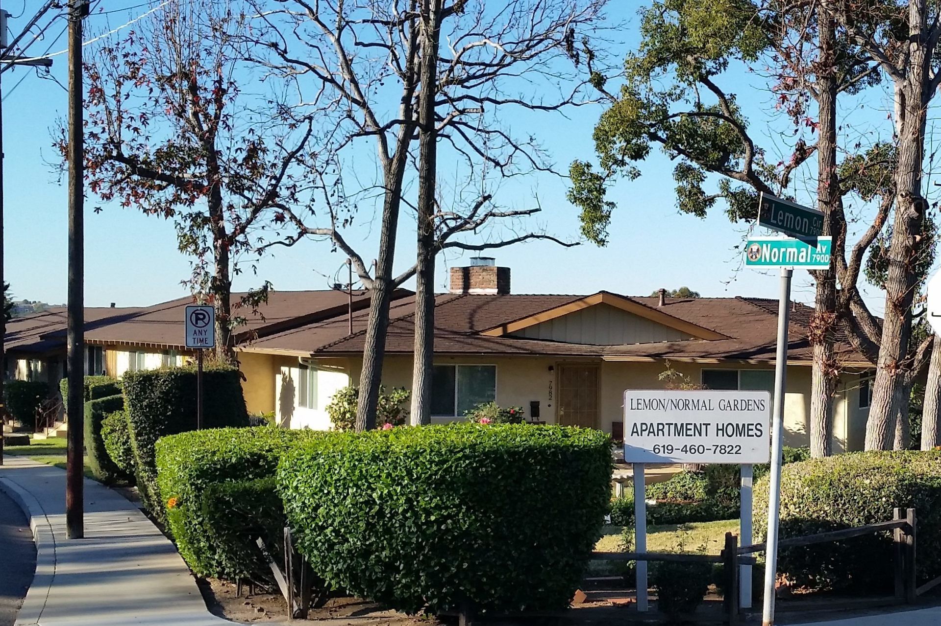 Lemon Normal Gardens Apt