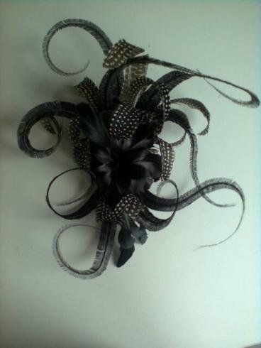 Ornamenti con piume