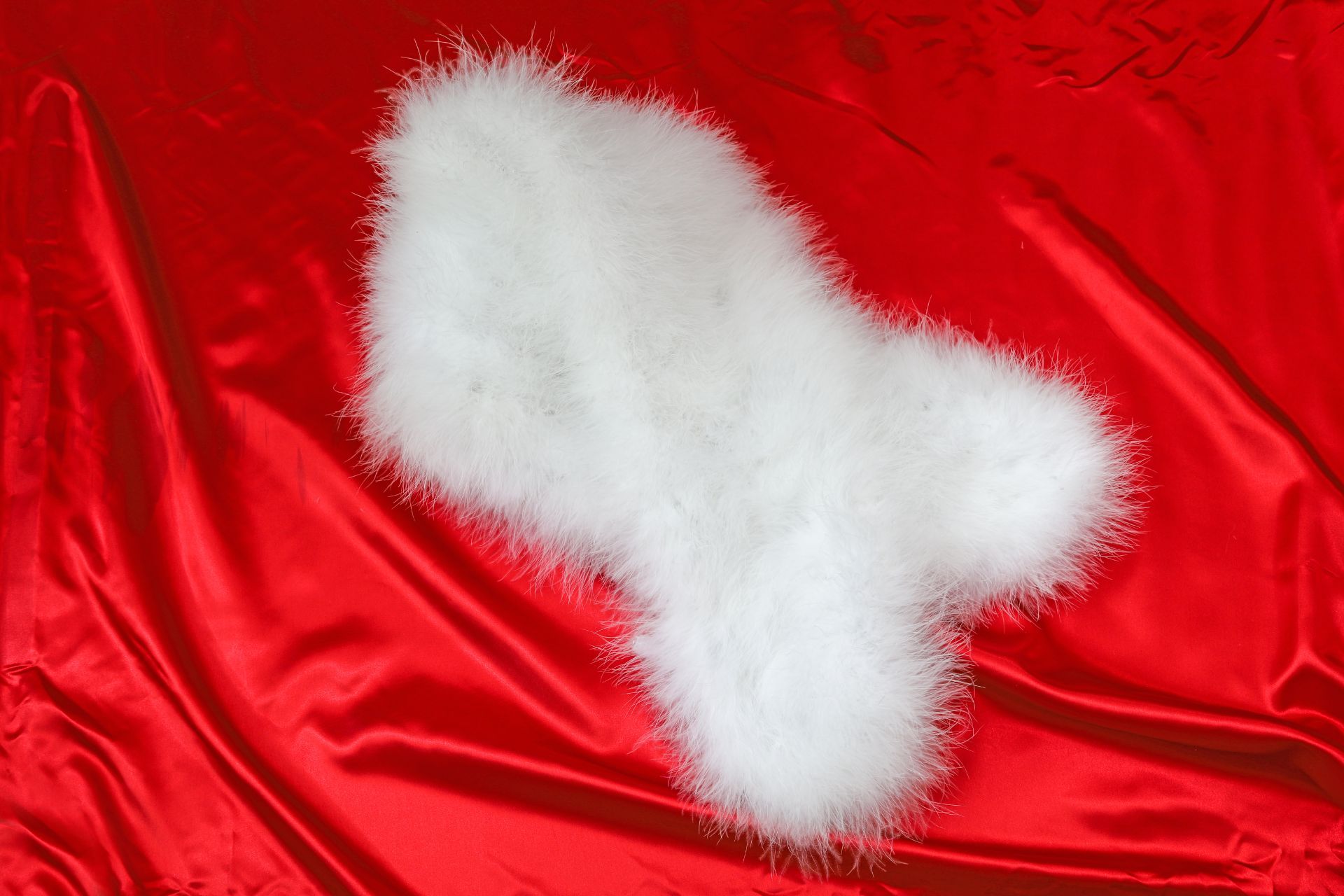 Piume decorative per l’abbigliamento