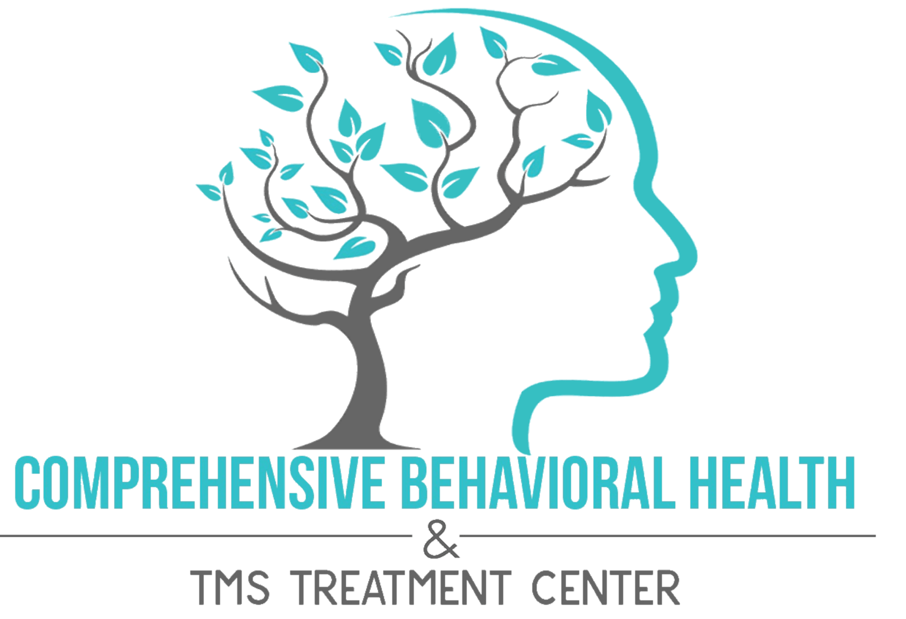 Comprehensive Behavioral Health