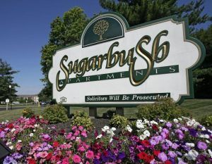 sugarbush sign