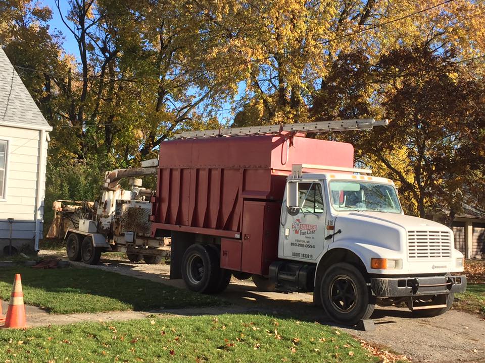 Wooden Cut Texture of Tree Cut — Tree Company in   Fenton, MI
