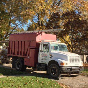 Small Seedlings — Tree Company in   Fenton, MI