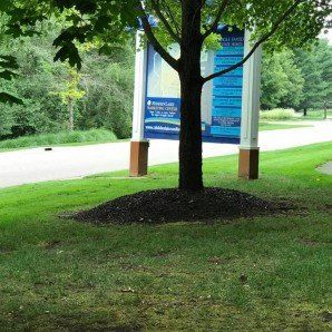 Dead Leaves — Tree Company in   Fenton, MI