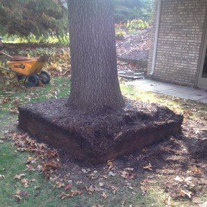 Trees beside a Road — Tree Company in   Fenton, MI