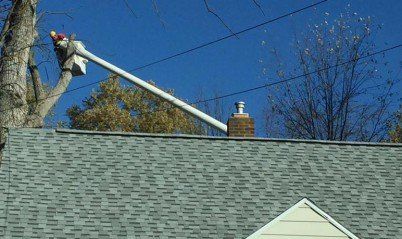 Trimming Trees — Tree Company in   Fenton, MI