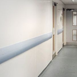 Hygiene cladding