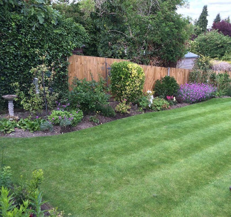 Lawn