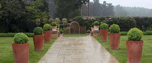 Expert landscapers