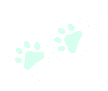 A pair of paw prints on a white background.