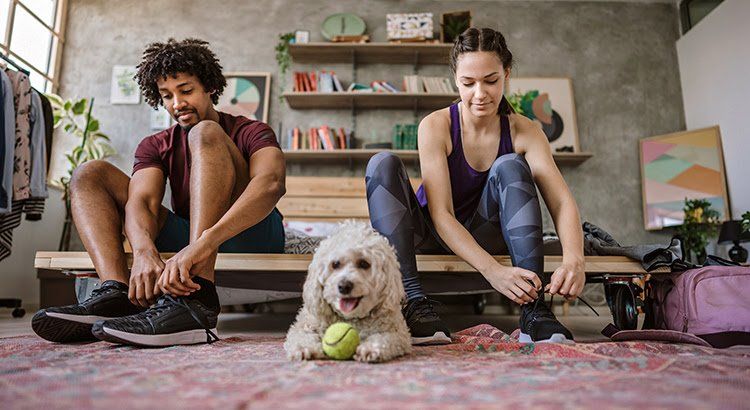A man and a woman are sitting on a couch with a dog and a tennis ball.