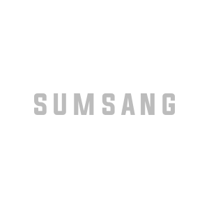 Gray “SUMSANG” text centered on a white background