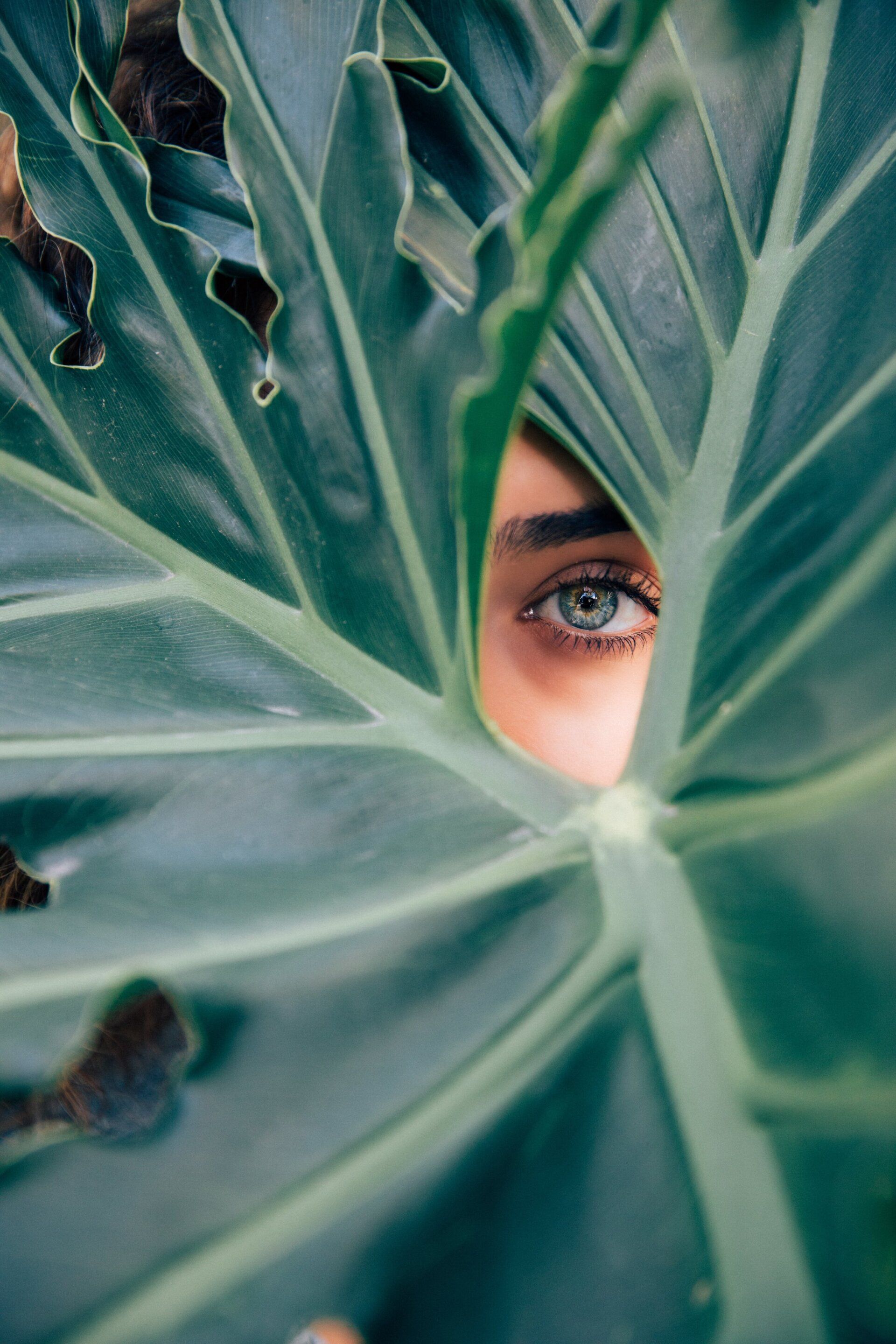 A woman 's face is behind a large green leaf.