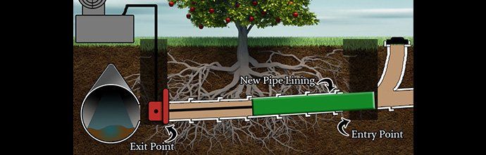 Diagram showing a pipe system for irrigation, with a tree, roots, and water flow depicted underground.