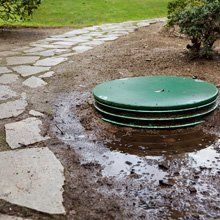Green septic tank lid surrounded by muddy water, near a stone path and greenery.