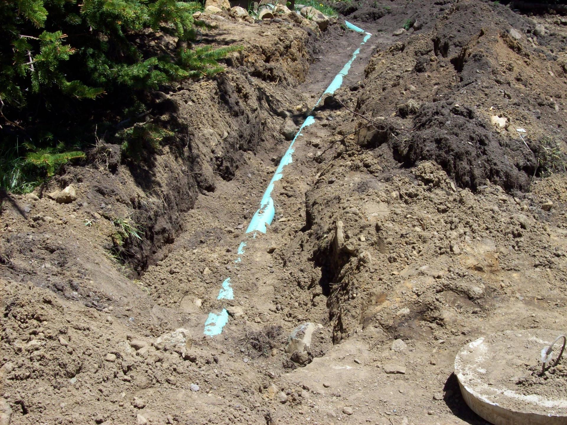 Trench with a blue pipe, ready for burial in the ground, near a tree.
