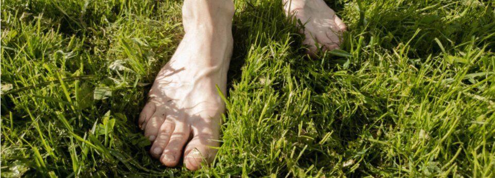 Dein Körper zeigt den Weg – durch intuitive Körpertherapie zu neuem Sinn und Lebensfreude Dein Körper zeigt den Weg – durch intuitive Körpertherapie zu neuem Sinn und Lebensfreude
