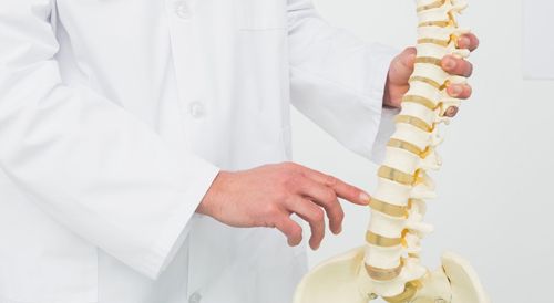 Experienced osteopath showing joints in human spine