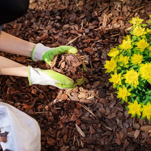Mulching — Alamogordo, NM — David's Landscaping Design LLC