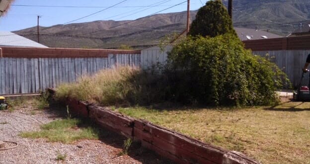 Long Shrubs on a Garden — Alamogordo, NM — David's Landscaping Design LLC