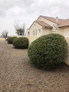 After Round Plant Trimming — Alamogordo, NM — David's Landscaping Design LLC