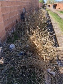 Before Wood and Grass Clean Up — Alamogordo, NM — David's Landscaping Design LLC