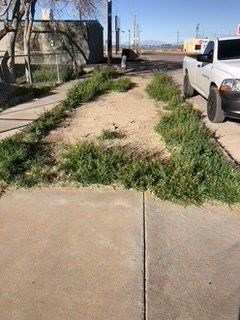 Before Grass Cutting — Alamogordo, NM — David's Landscaping Design LLC