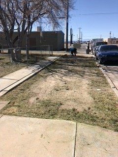 After Grass Cutting — Alamogordo, NM — David's Landscaping Design LLC