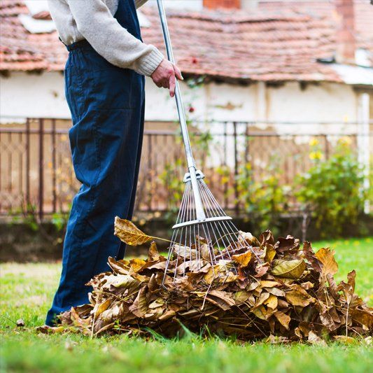 Yard Cleanups — Alamogordo, NM — David's Landscaping Design LLC