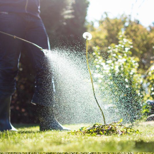 Seasonal Weed Control — Alamogordo, NM — David's Landscaping Design LLC