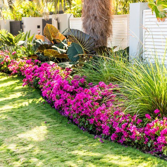 Landscape Design — Alamogordo, NM — David's Landscaping Design LLC