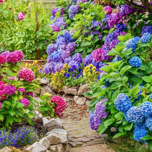 Garden Beds — Alamogordo, NM — David's Landscaping Design LLC