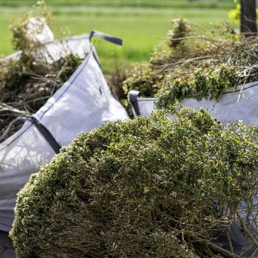 Shrub Removal — Alamogordo, NM — David's Landscaping Design LLC
