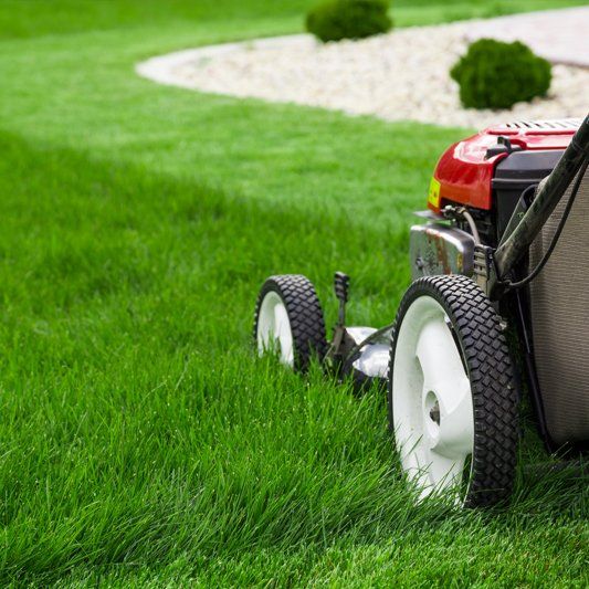 Lawn Care — Alamogordo, NM — David's Landscaping Design LLC