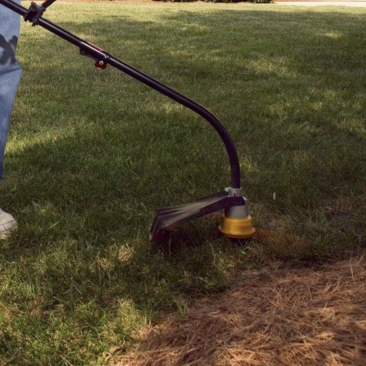 Weed Whacking — Alamogordo, NM — David's Landscaping Design LLC