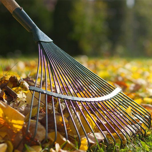 Spring & Fall Clean Up — Alamogordo, NM — David's Landscaping Design LLC