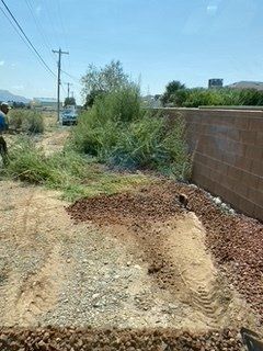 Before Tall Grass Removal on Land — Alamogordo, NM — David's Landscaping Design LLC