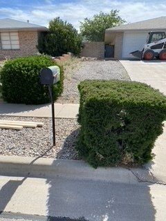 Before Bush Removal Near a Mailbox — Alamogordo, NM — David's Landscaping Design LLC